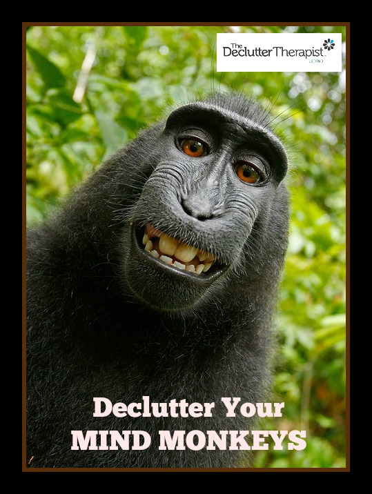 Declutter Your Mind Monkeys | The Declutter Therapist